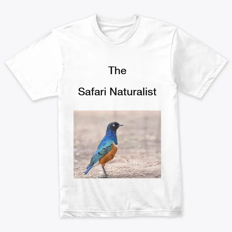 The Safari Naturalist - Superb Starling 