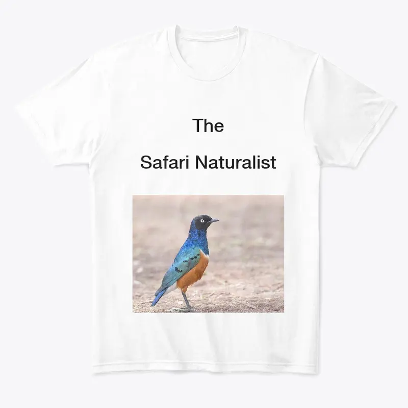 The Safari Naturalist - Superb Starling 