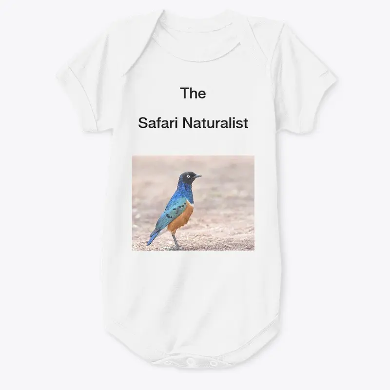 The Safari Naturalist - Superb Starling 