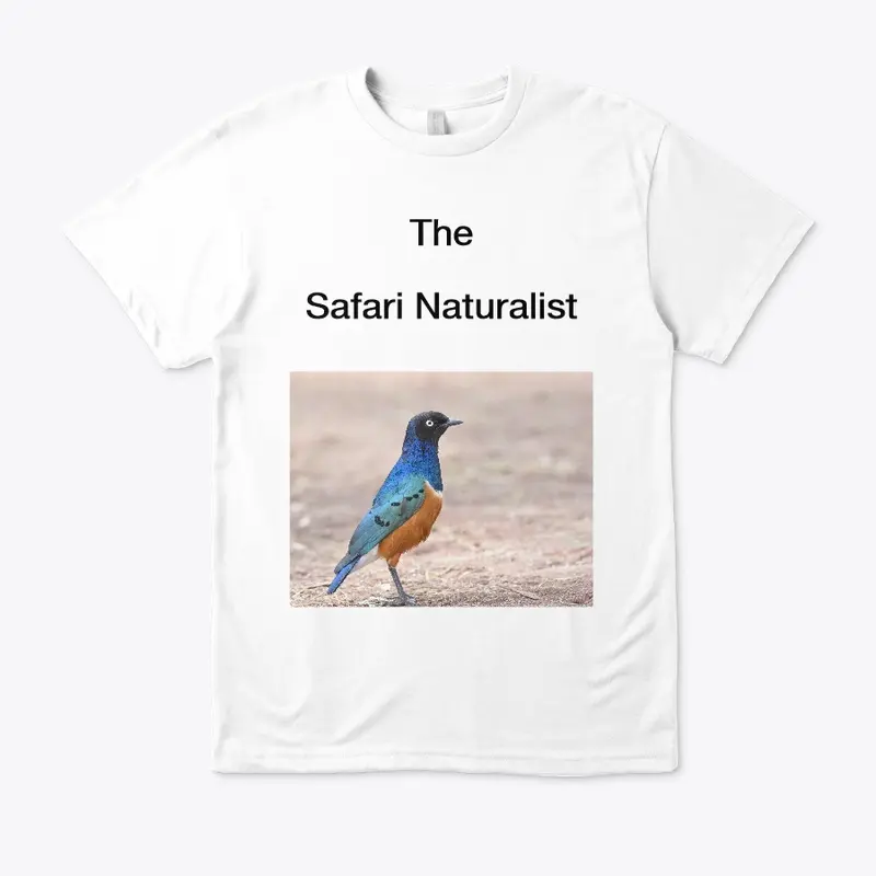 The Safari Naturalist - Superb Starling 